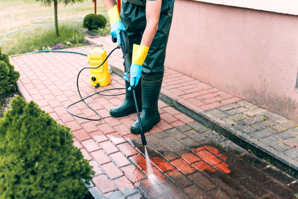 Best Soft Washing for Delicate Surfaces in Fruitland, IA