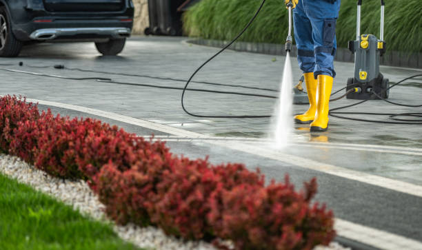Best Deck and Patio Pressure Washing in Fruitland, IA